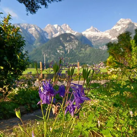 Scheffsnoth Apartmán *