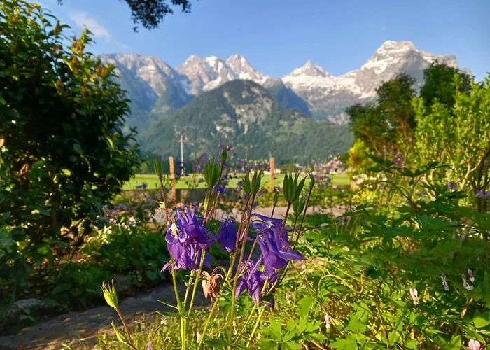 Scheffsnoth Apartment *