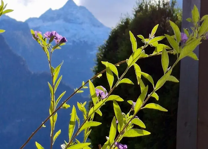 Apartmán Scheffsnoth Lofer